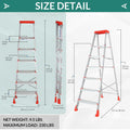 PARASNATH 6 Step EasyDay Folding Ladder 