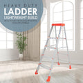 PARASNATH 4 Step EasyDay Folding Ladder 