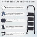 Parasnath GoUp 4 Step Grey Steel Ladder