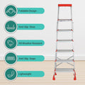 PARASNATH 6 Step EasyDay Folding Ladder 