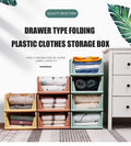 Parasnath Pink Foldable Wardrobe Organizer 