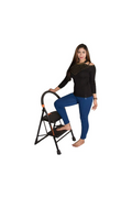 Parasnath 2-Step Black Diamond Folding Ladder with wide anti-slip steps, sturdy steel