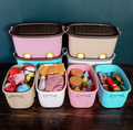 PARASNATH 45L Blue-Pink Rolling Storage Box with Wheels