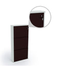 Parasnath Brown White Wall-Mounted 3-Shelf Shoe Rack Lockable Organizer