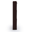 Parasnath Coffee Colour Wall Shoe Rack 3 Shelves Slim Lockable Steel Shoe Stand