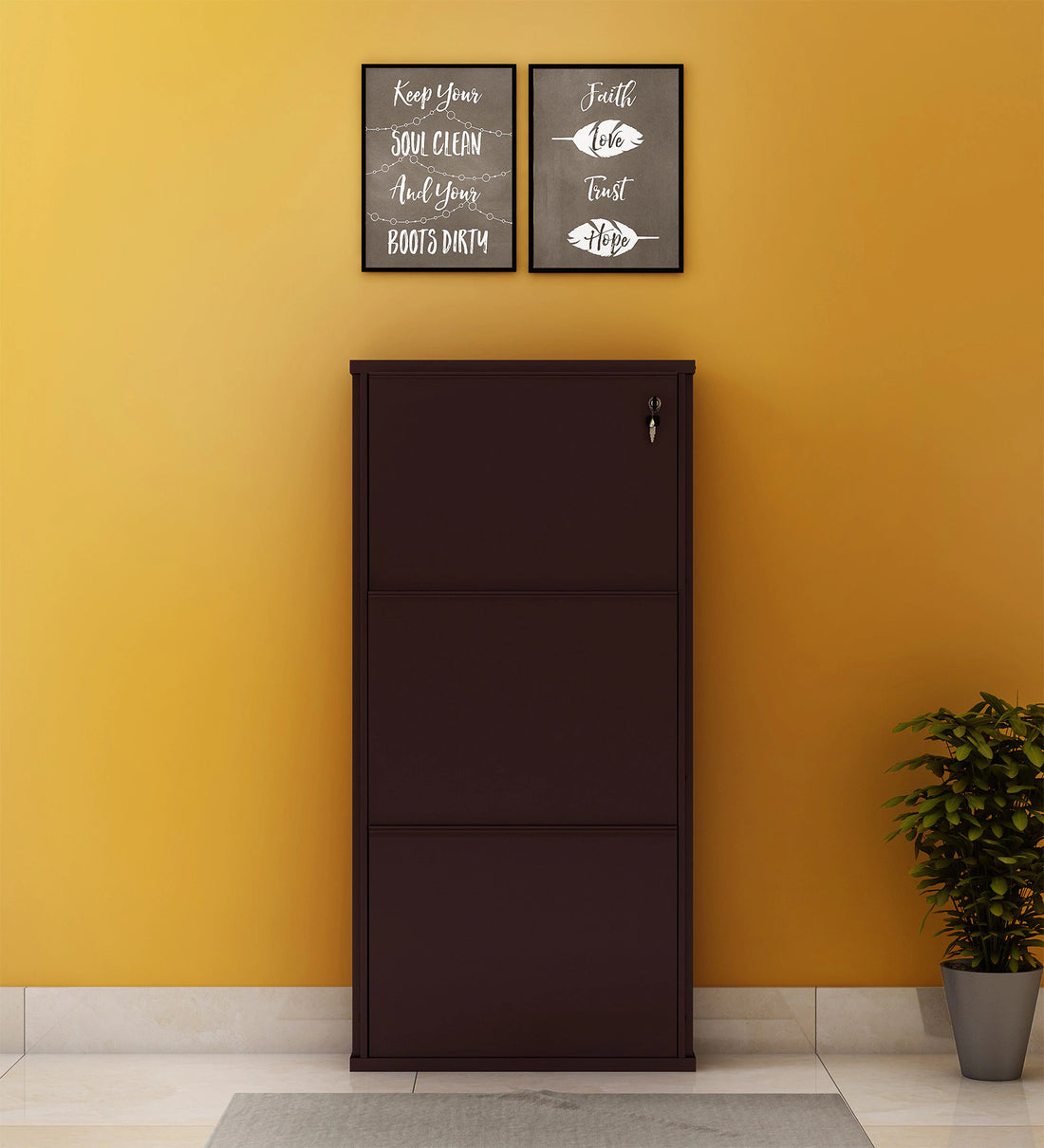 Parasnath Coffee Colour Wall Shoe Rack 3 Shelves Slim Lockable Steel Shoe Stand