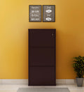 Parasnath Coffee Colour Wall Shoe Rack 3 Shelves Slim Lockable Steel Shoe Stand