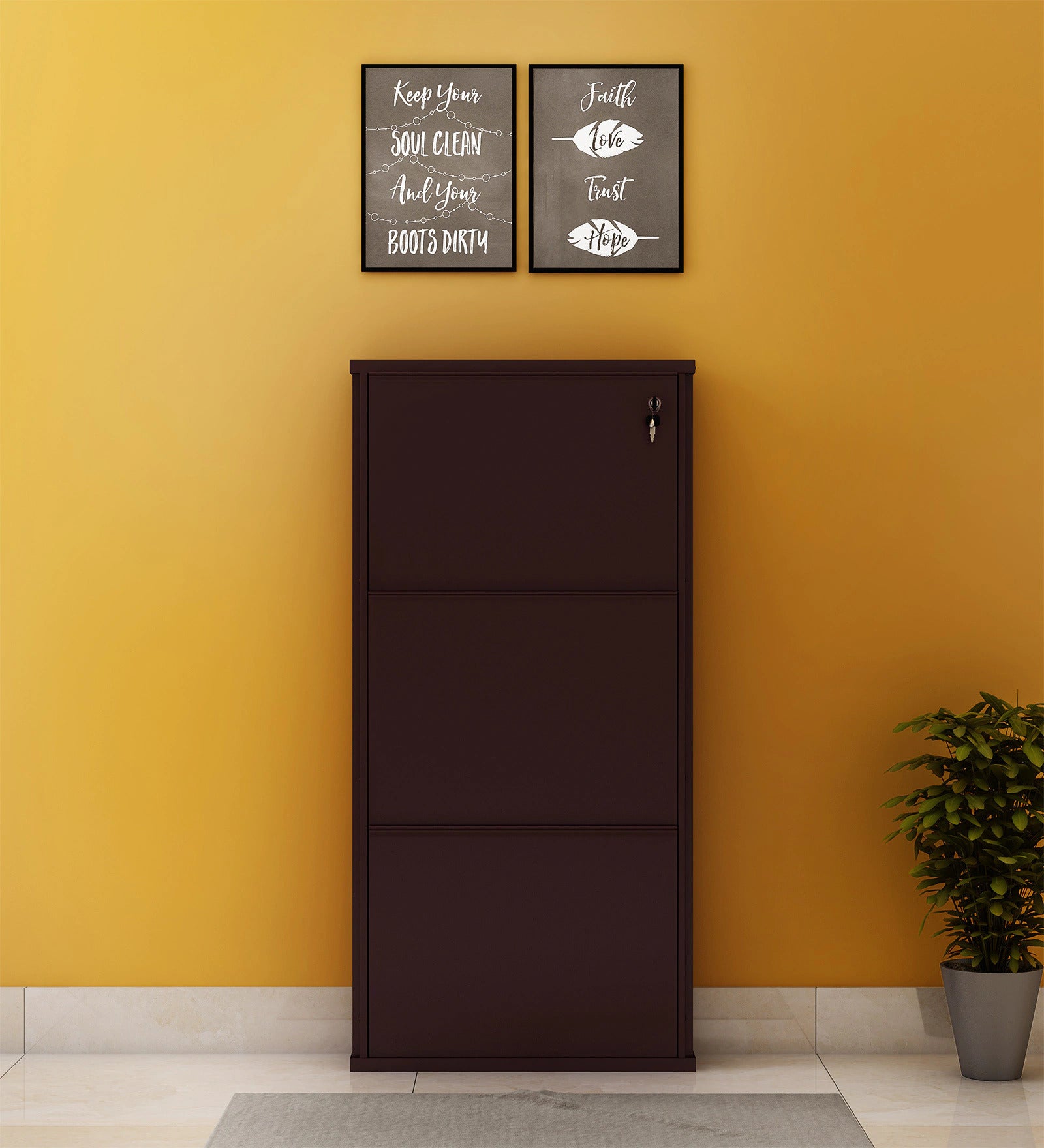 Parasnath Coffee Colour Wall Shoe Rack 3 Shelves Slim Lockable Steel Shoe Stand